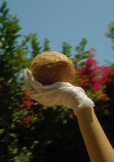 Hand wearing a hand mask holding a coconut
