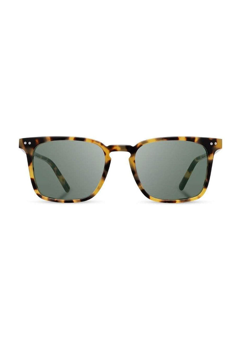 [Color: Havana] Classic acetate frame sunglasses.