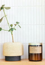 P.F. Candle Co. Teakwood Tobacco Candle