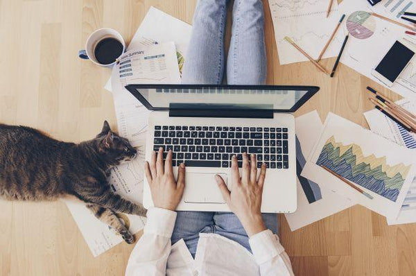Tips for Staying Productive While Working From Home