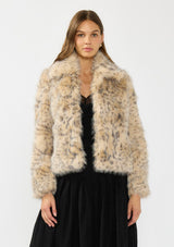 [Color: Leopard] A front facing image of a brunette model wearing a leopard faux fur coat with a collar and an open front. 