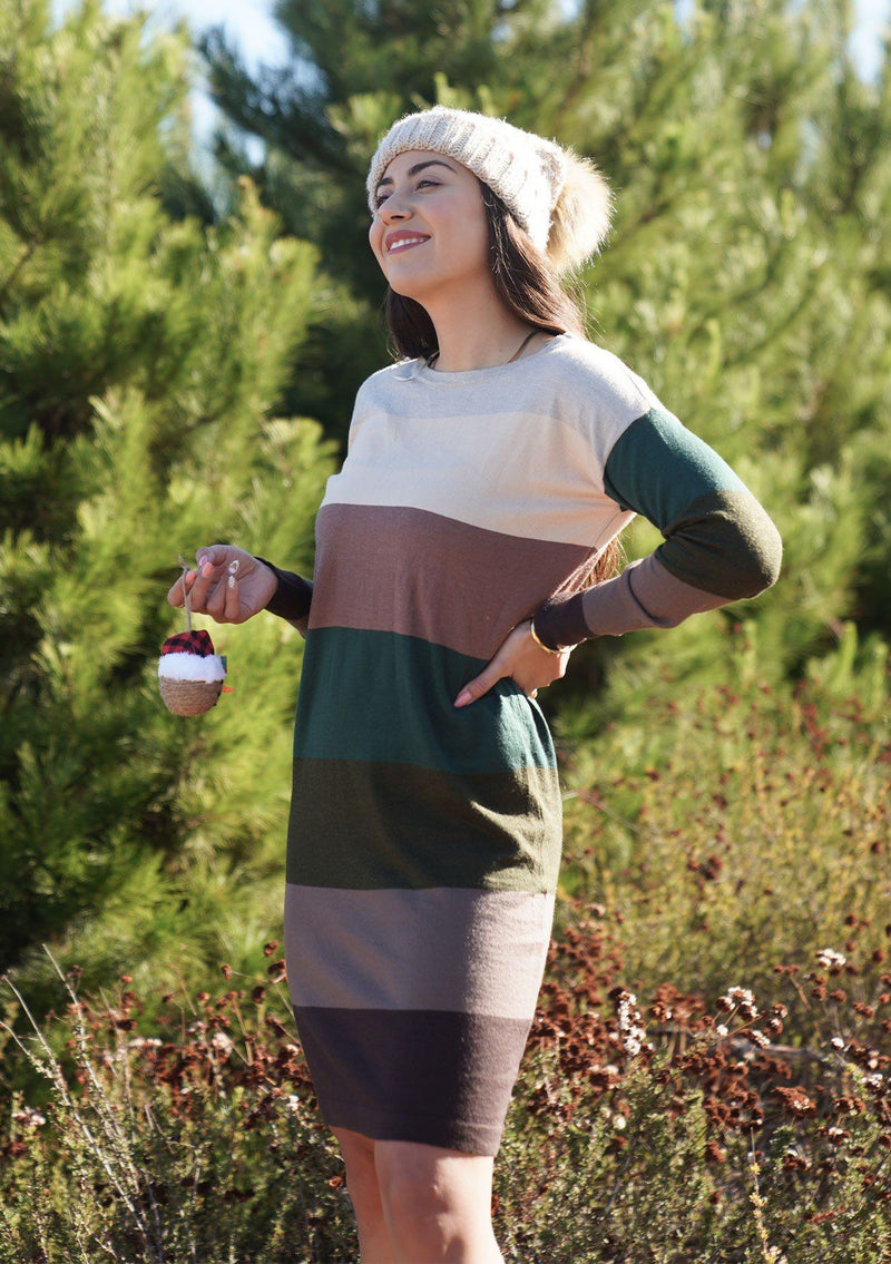 [Color: Brown/Walnut] A sophisticated mini sweater dress in a block stripe. Super soft with the right amount of stretch, this classic style features a wide crew neckline.
