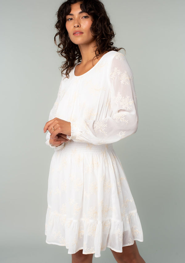 [Color: Ivory] A front facing image of a brunette model wearing an ivory white embroidered chiffon mini dress. Perfect for the holidays or weddings, featuring long sleeves, a tiered skirt, an open back keyhole with tie closure, and a smocked elastic waist.